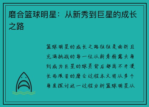 磨合篮球明星：从新秀到巨星的成长之路
