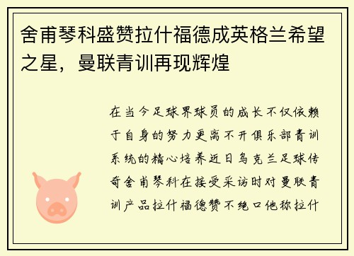 舍甫琴科盛赞拉什福德成英格兰希望之星，曼联青训再现辉煌